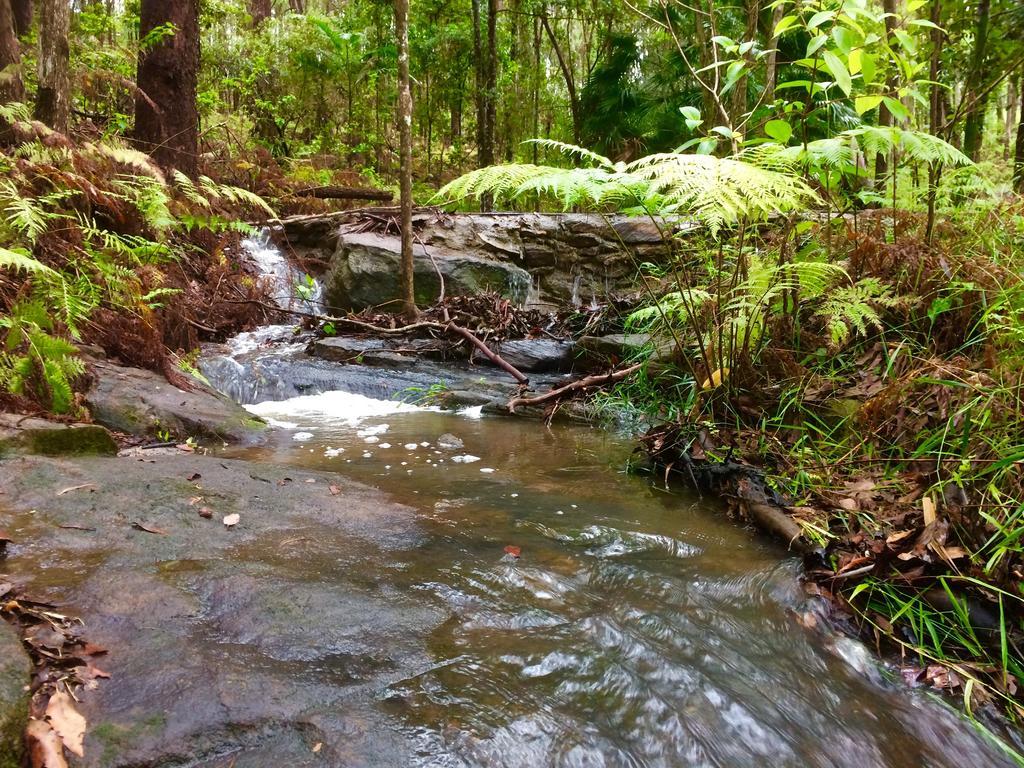 Apartmán Noosa Hinterland Retreat Tinbeerwah Exteriér fotografie